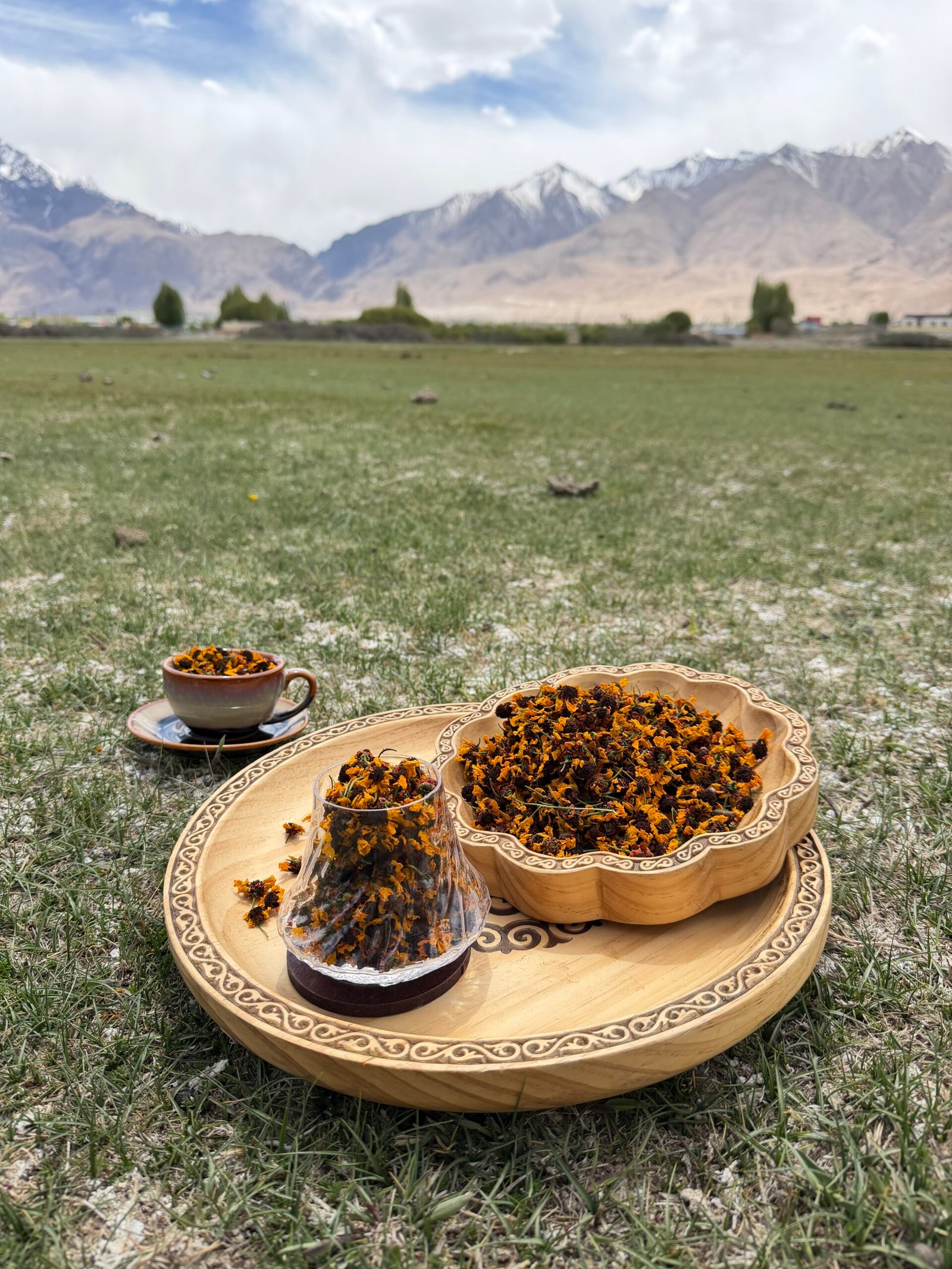 pamir snow chrysanthemum tea pamir snow chrysanthemum tea
