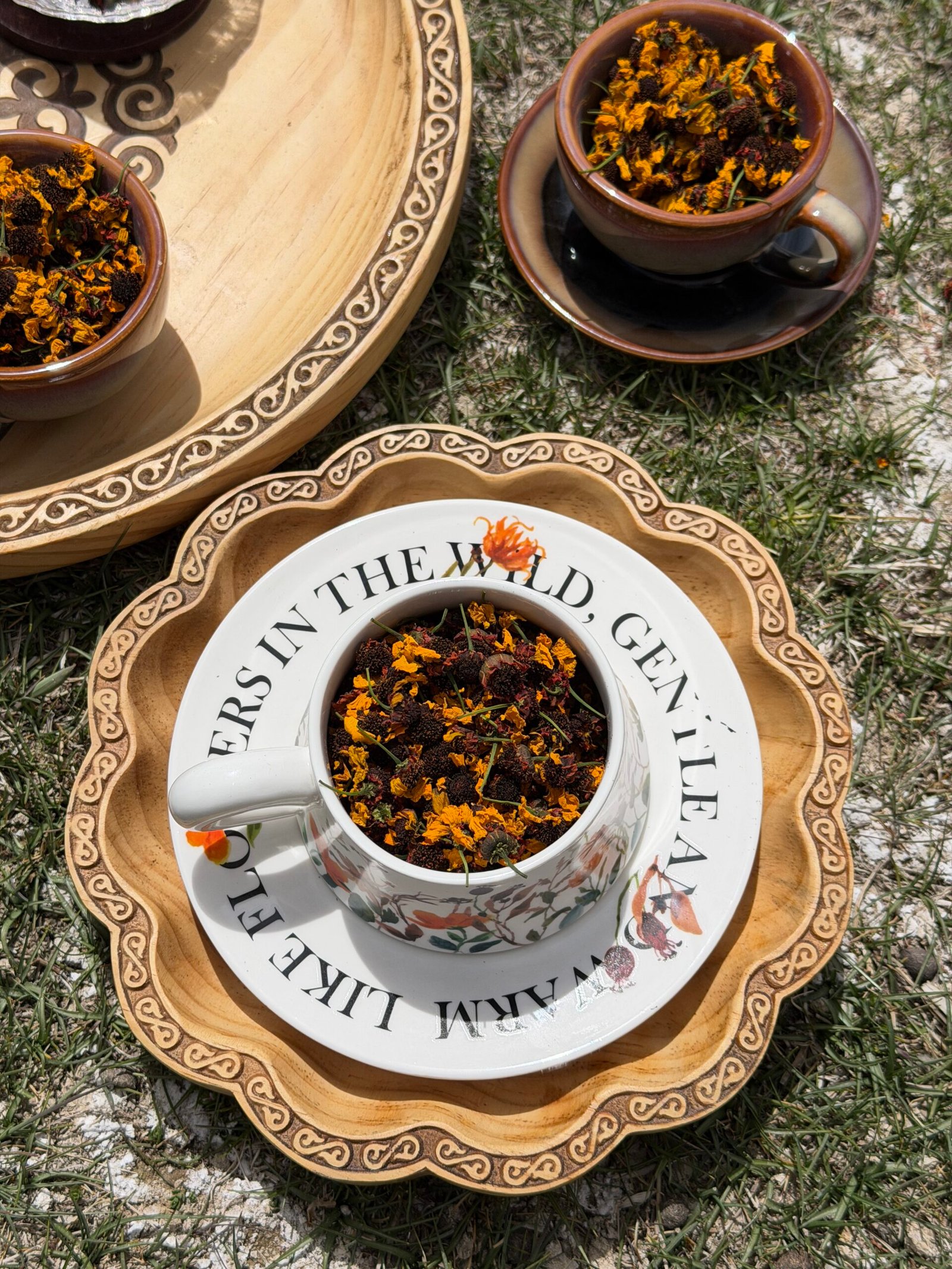 pamir snow chrysanthemum tea pamir snow chrysanthemum tea