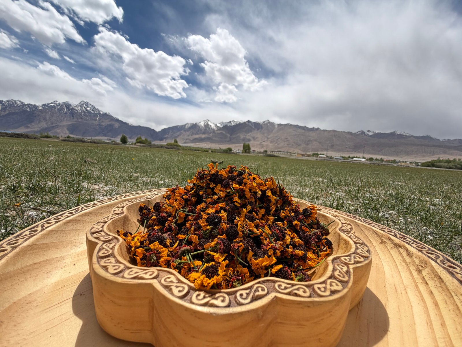 pamir snow chrysanthemum tea pamir snow chrysanthemum tea