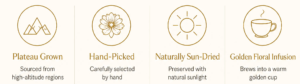 Pamir Snow Chrysanthemum pamir snow chrysanthemum tea