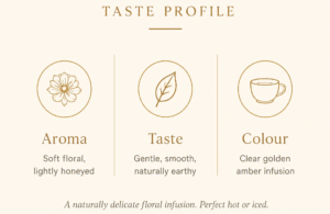 Pamir Snow Chrysanthemum pamir snow chrysanthemum tea